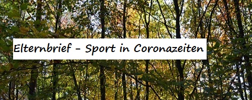 Sport in CZ